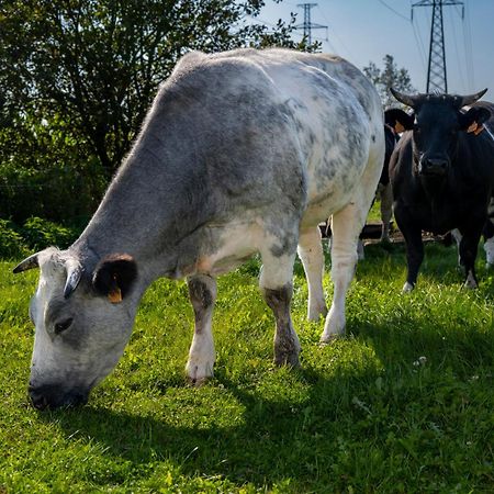 Geetkotmolenhoeve Lochristi Εξωτερικό φωτογραφία